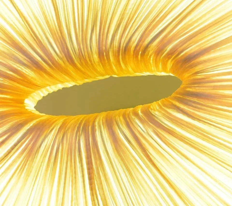 Modern Chandelier Handcrafted White Marine Cloth for Dining Room Living Restaurants | Cl7496303 Casalolalights Luxury