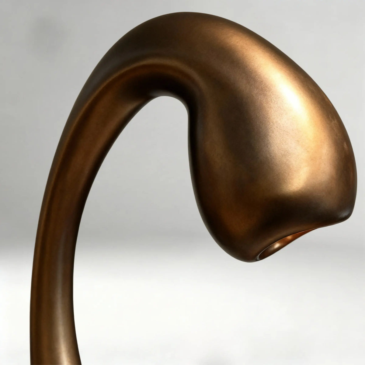 Organic Arch Floor Lamp | 168cm Sculptural Biomorphic Design | Dark Bronze Finish Resin | Avant-garde Reading Light