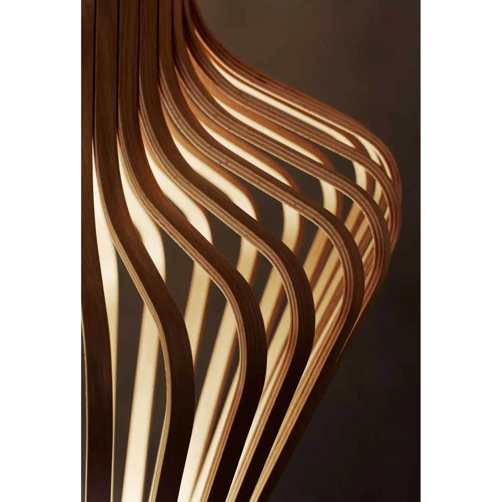 Scandinavian Bentwood Floor Lamp | Organic Sculptural Form