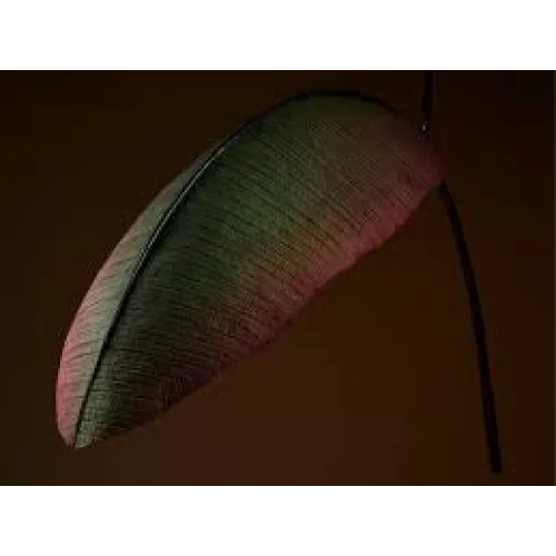 Banana Leaf Pendant Light | Botanical Sculptural Fixture in Bronze Finish | Organic Modern Lighting for Lounge or Alcove
